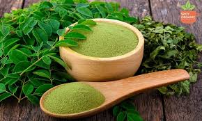 [MORINGAORG] Organic Moringa Powder