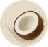 Sabor: Coco