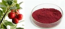 Cranberry Extract 4:1